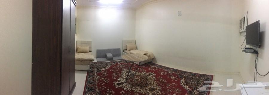 حراج العقار شقق عزاب مفروشه بالخرج