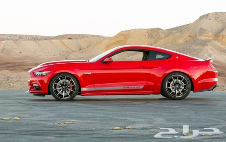 جنوط شلبي American موديل 2016-2017