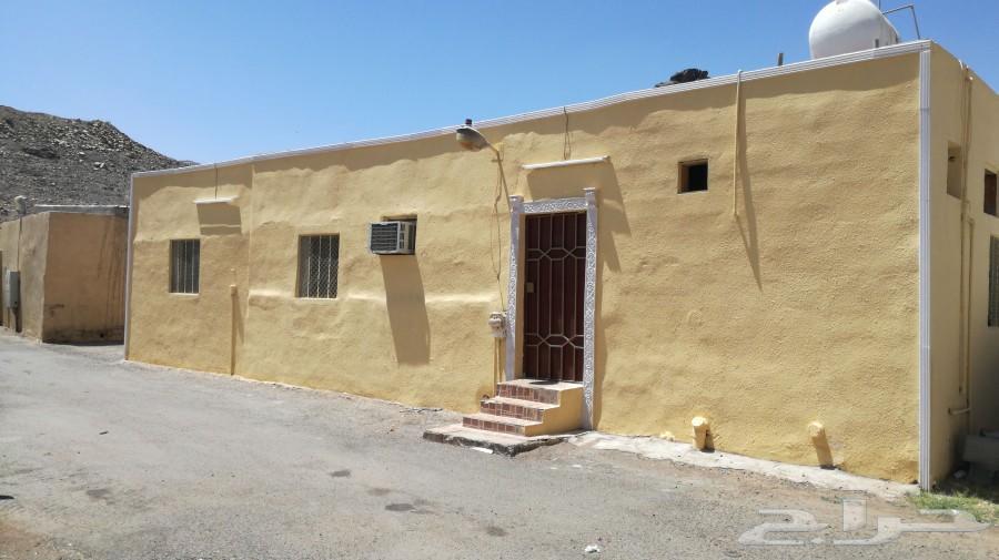مقاول بناء ترميمات اصلاحات غرف او شقق ملاحق