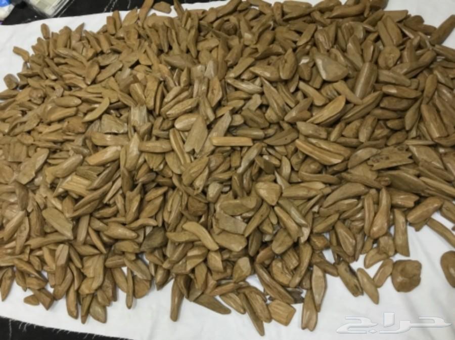 تبي لك عود زين وبسعر زين.. تعال