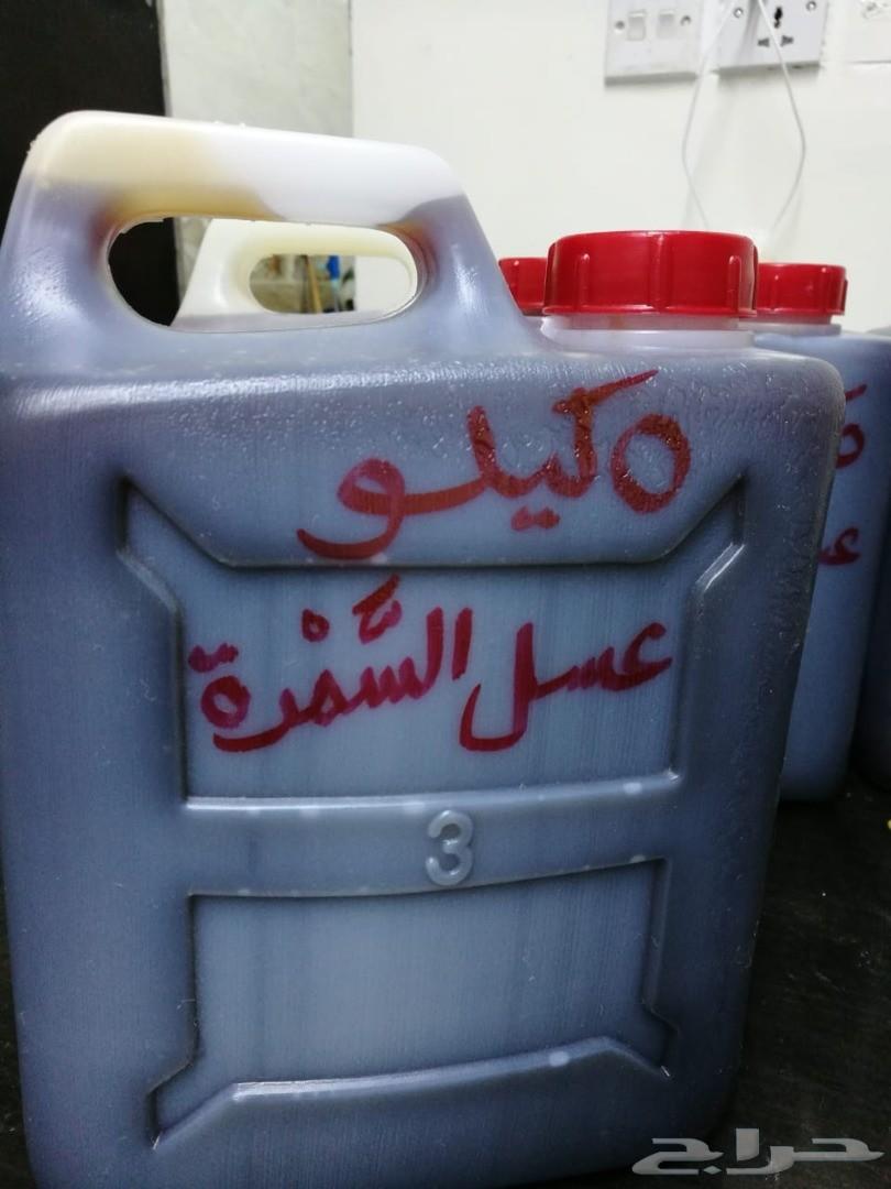غابات فيتنام والعودالفيتنامي الطبيعي حصريا