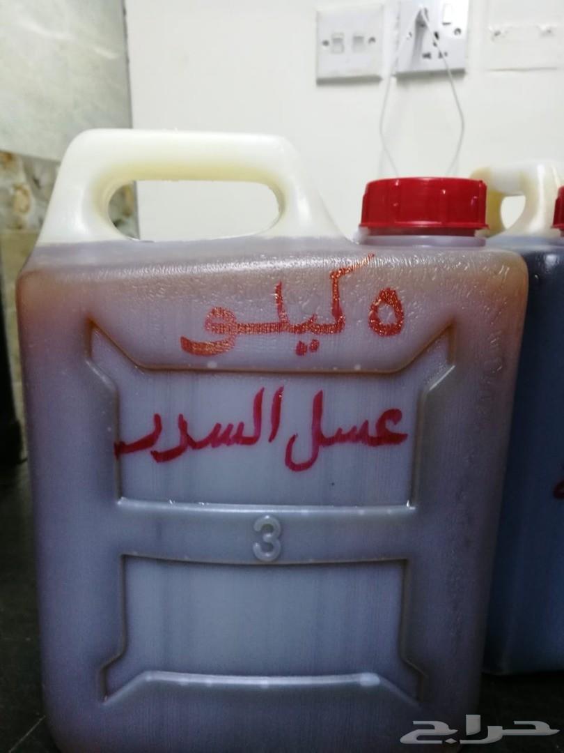 غابات فيتنام والعودالفيتنامي الطبيعي حصريا