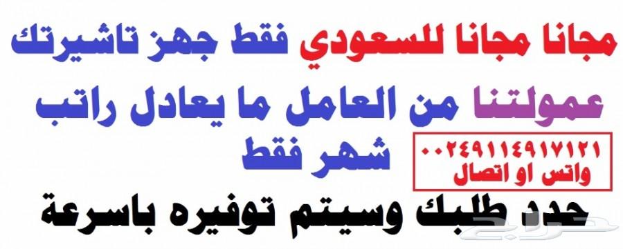 سائقين ورعاه.محاسب.مهندس.عامل بقالة.كل المهن
