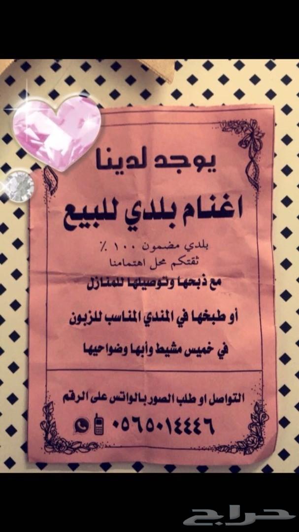 غنم بلدي للبيع او التوصيل للمنازل