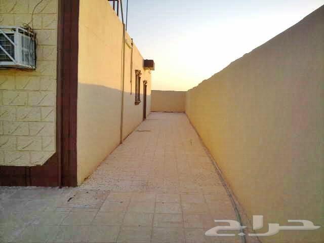 للبيع او الايجار شقتين ارضيه منفصله عاجلا
