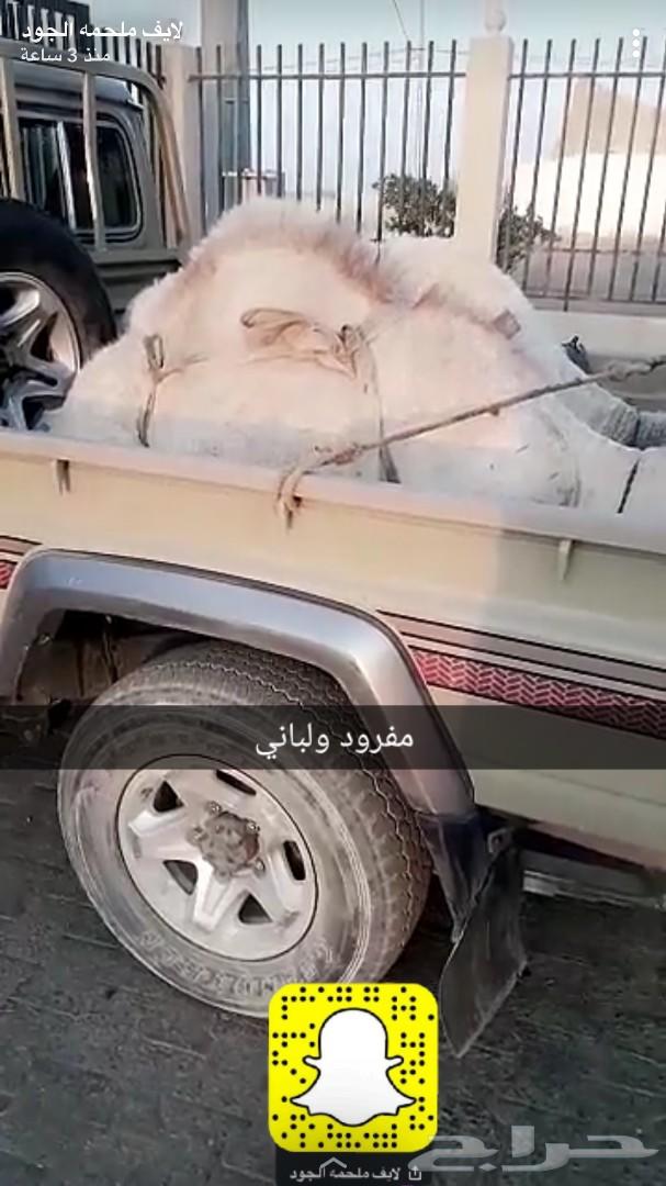 حاشي لباني ومفرود نحر قبل قليل توصيل مجاني