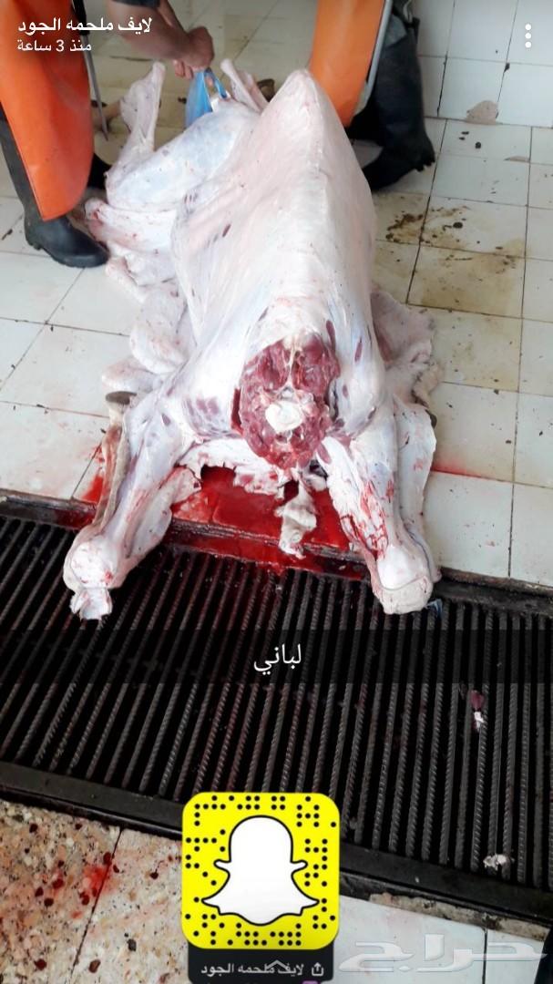 حاشي لباني ومفرود نحر قبل قليل توصيل مجاني