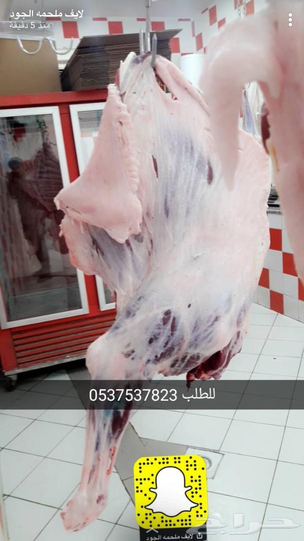 حاشي لباني ومفرود نحر قبل قليل توصيل مجاني