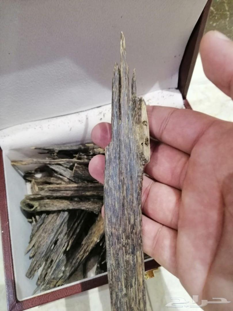عود هندي (موزرام)
