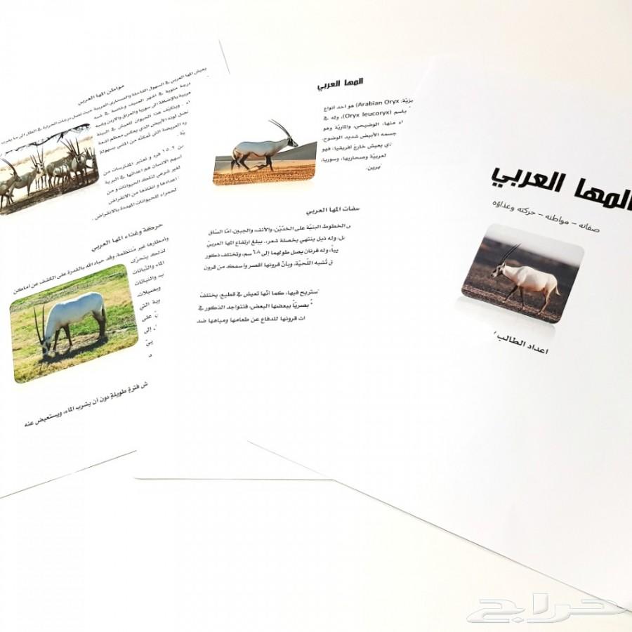 خدمات مكتبيه للطلاب وللطالبات والمعلمات