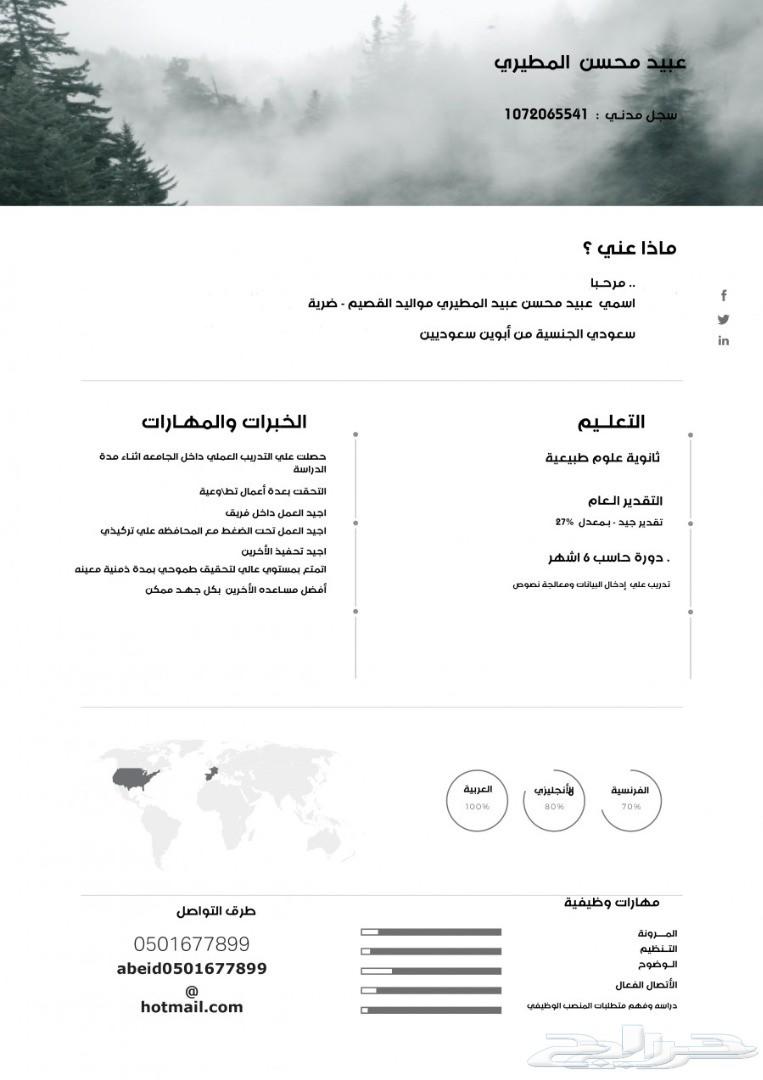 هل تبحث عن عمل - تصميم سيرة ذاتية انفوجرافيك