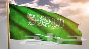 أعلام الدول و المؤسسات و الفنادق