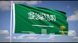 أعلام الدول و المؤسسات و الفنادق