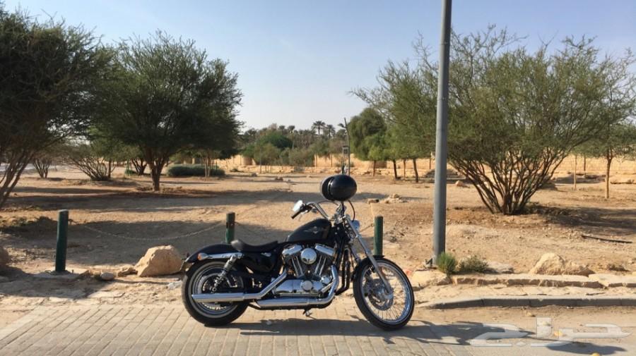 هارلي ديفيدسون Harley Davidson Seventy Two
