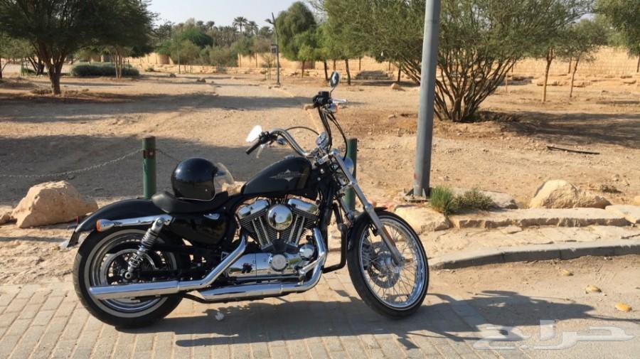 هارلي ديفيدسون Harley Davidson Seventy Two