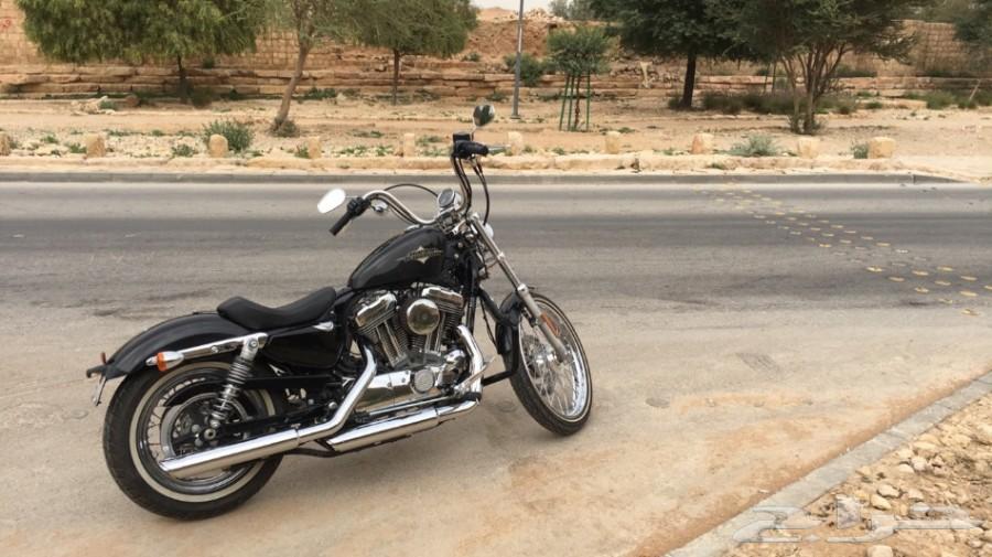 هارلي ديفيدسون Harley Davidson Seventy Two