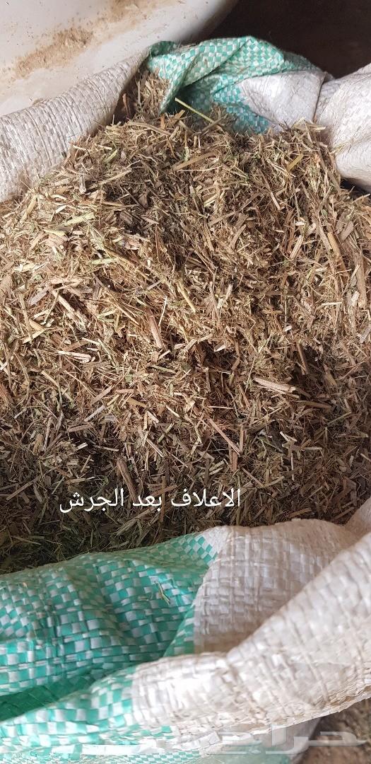 ذبائح هرافي نعيم للبيع