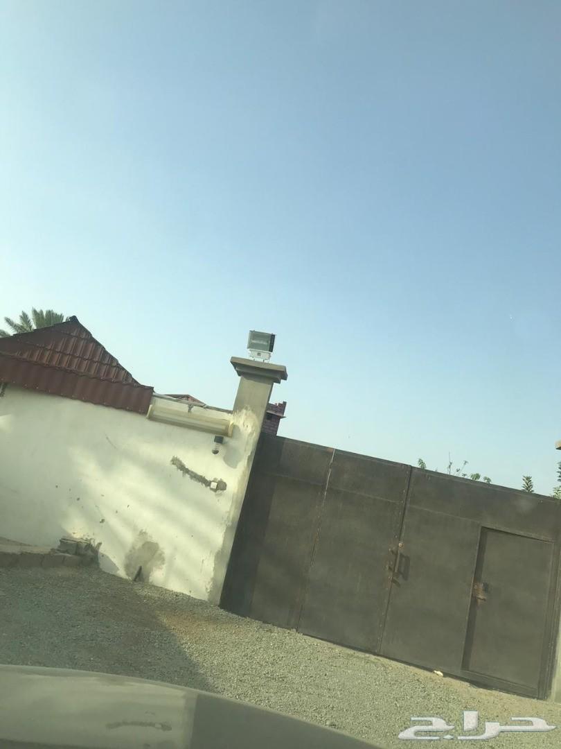 مزرعة لقطة للبيع_مساحة_3553 مدينة_الباحة