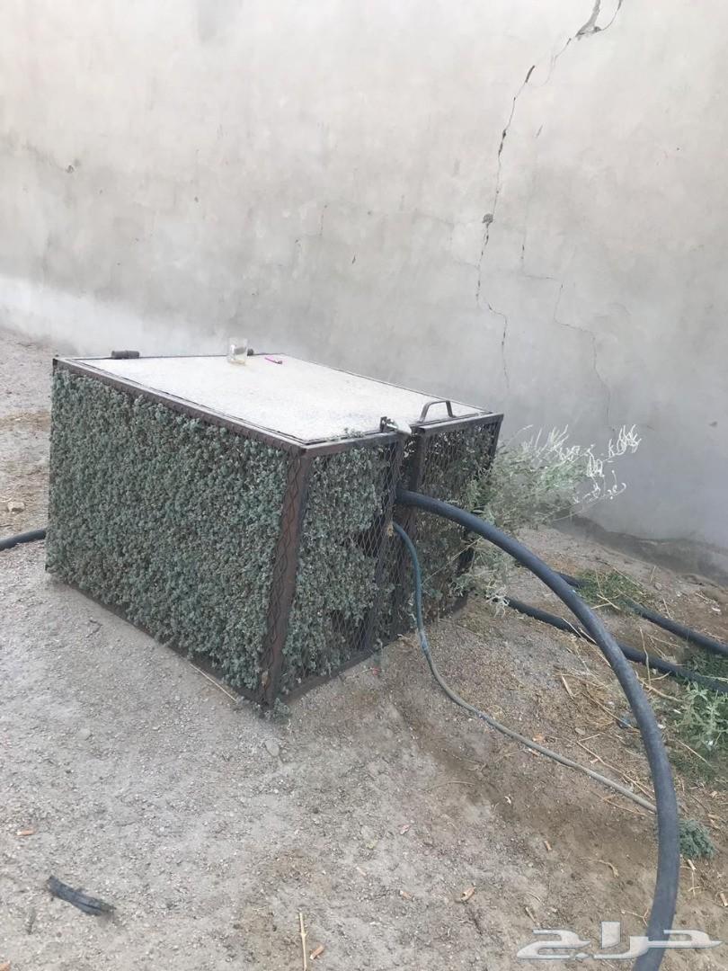 مزرعة لقطة للبيع_مساحة_3553 مدينة_الباحة