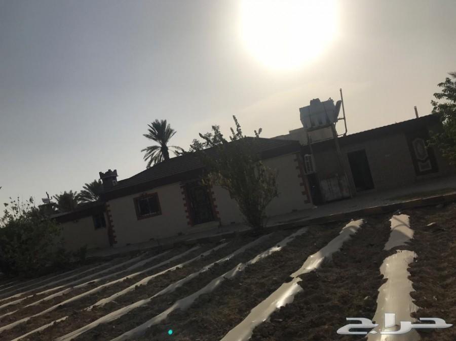 مزرعة لقطة للبيع_مساحة_3553 مدينة_الباحة
