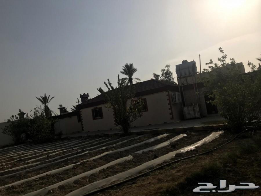 مزرعة لقطة للبيع_مساحة_3553 مدينة_الباحة
