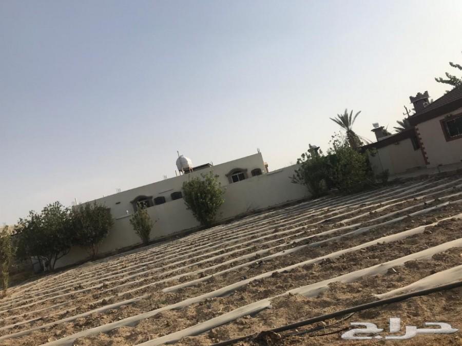 مزرعة لقطة للبيع_مساحة_3553 مدينة_الباحة