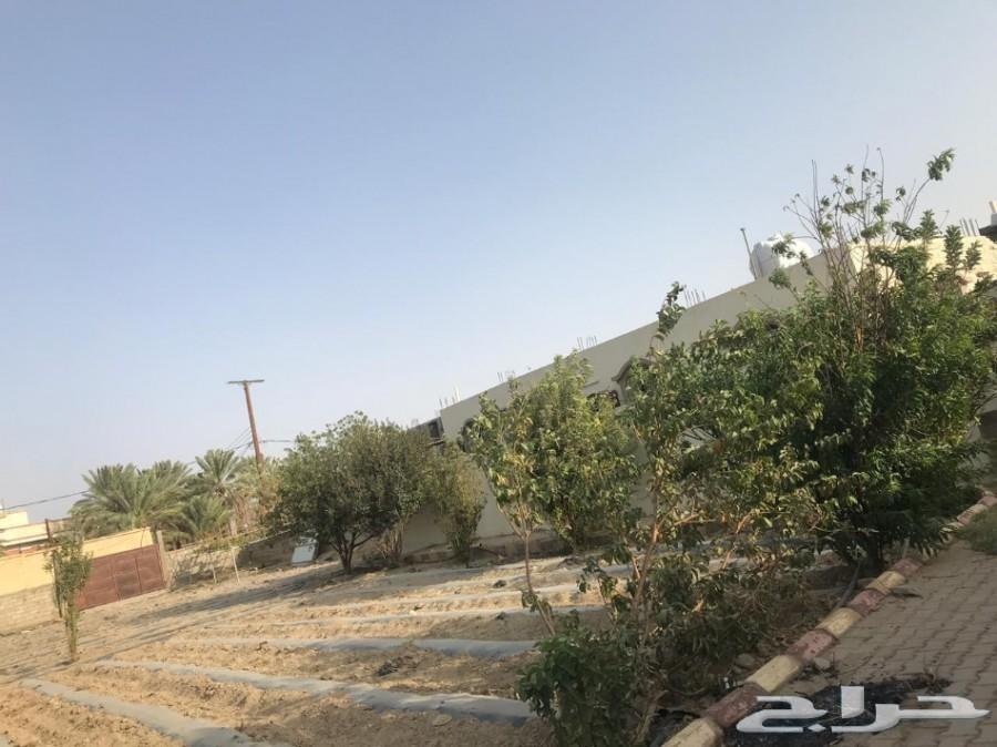 مزرعة لقطة للبيع_مساحة_3553 مدينة_الباحة