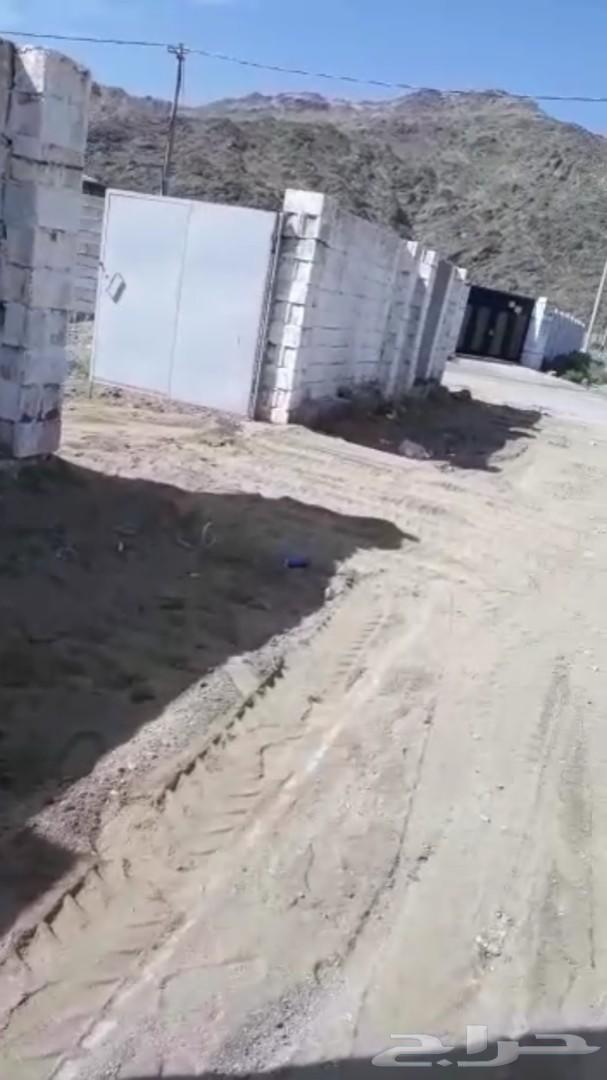 حوش للبيع او الا يجار يوجد به عداد كهرباء