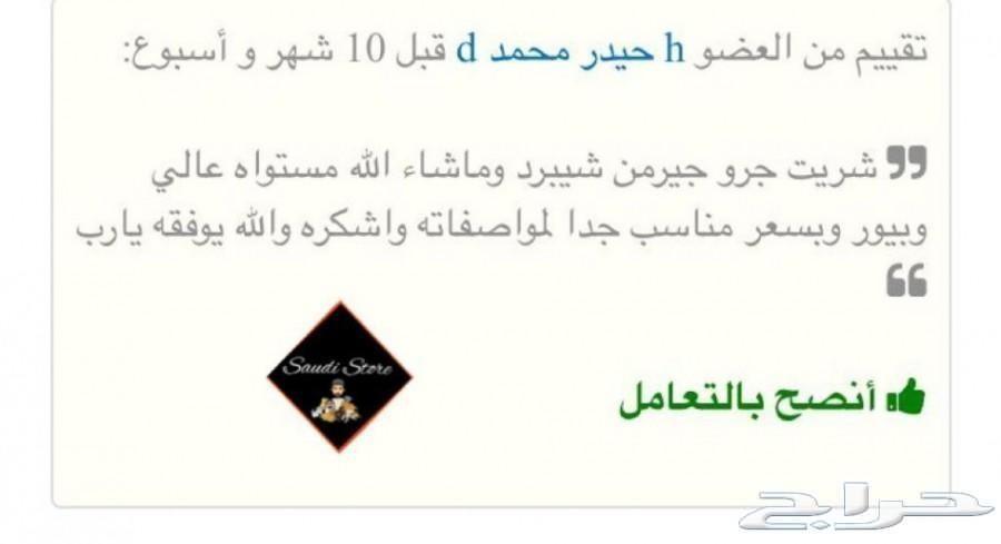 جيرمن شيبرد شولاين vip (تم البيع)