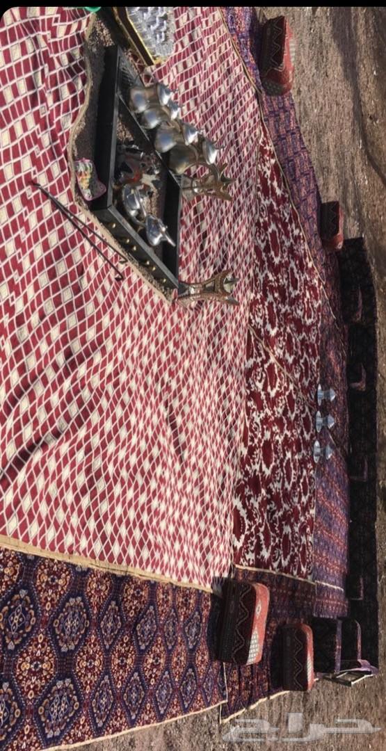 يوجد سيارة مجهزة لطلعات البر