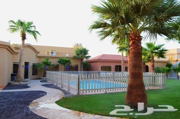 كراسي حديد للجلسات الخارجية والحدايق