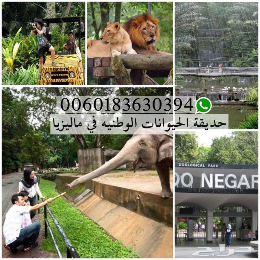 عروض سياحي الى ماليزيا 10 ايام لزوجين ورضيع