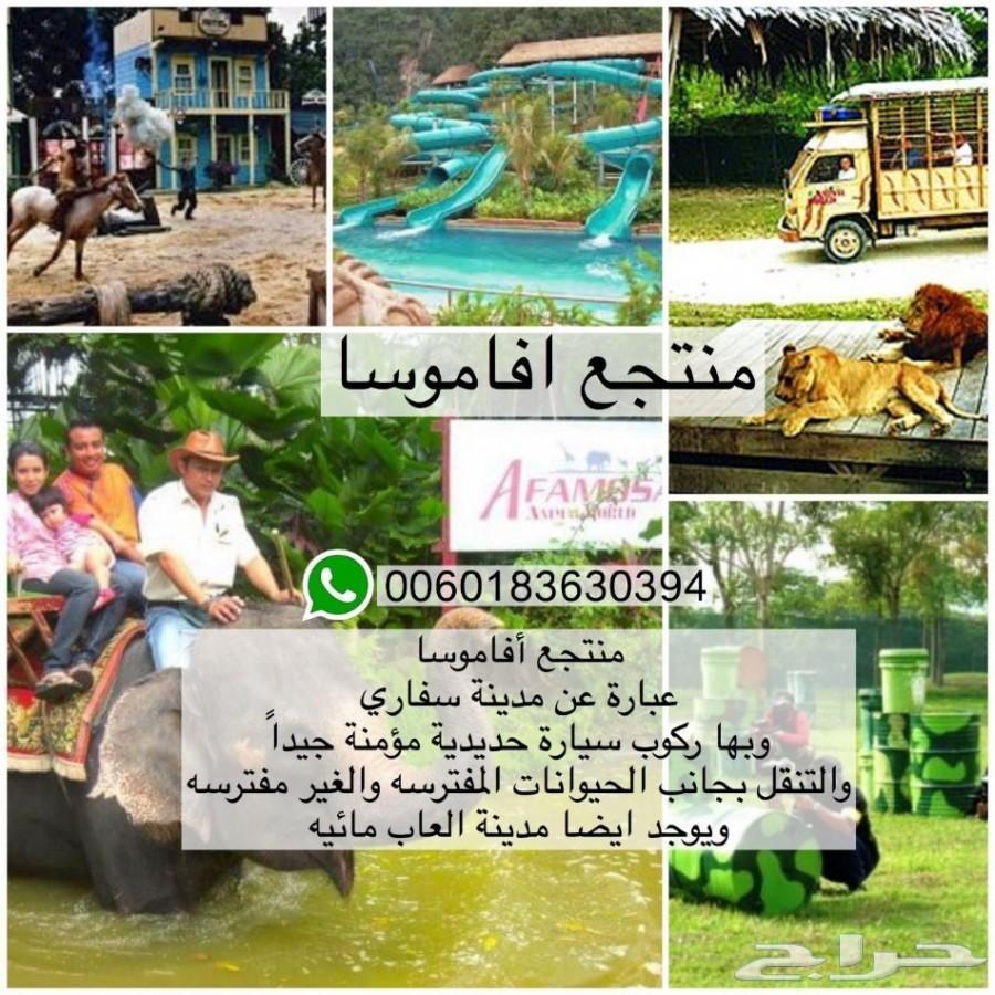 عروض سياحي الى ماليزيا 10 ايام لزوجين ورضيع