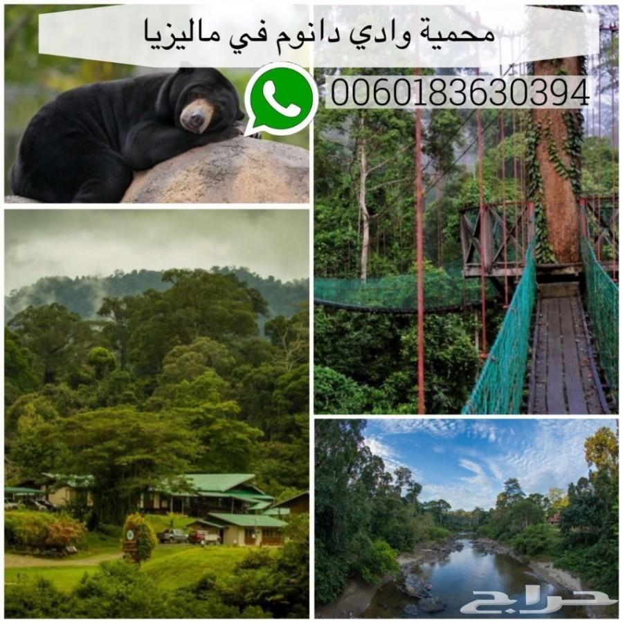 عروض سياحي الى ماليزيا 10 ايام لزوجين ورضيع