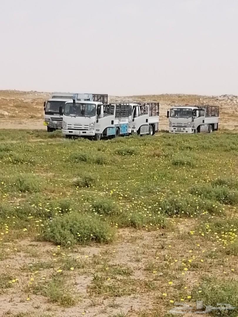 دينا نقل عفش وبضائع يوجد دنه ونش هيدروليك