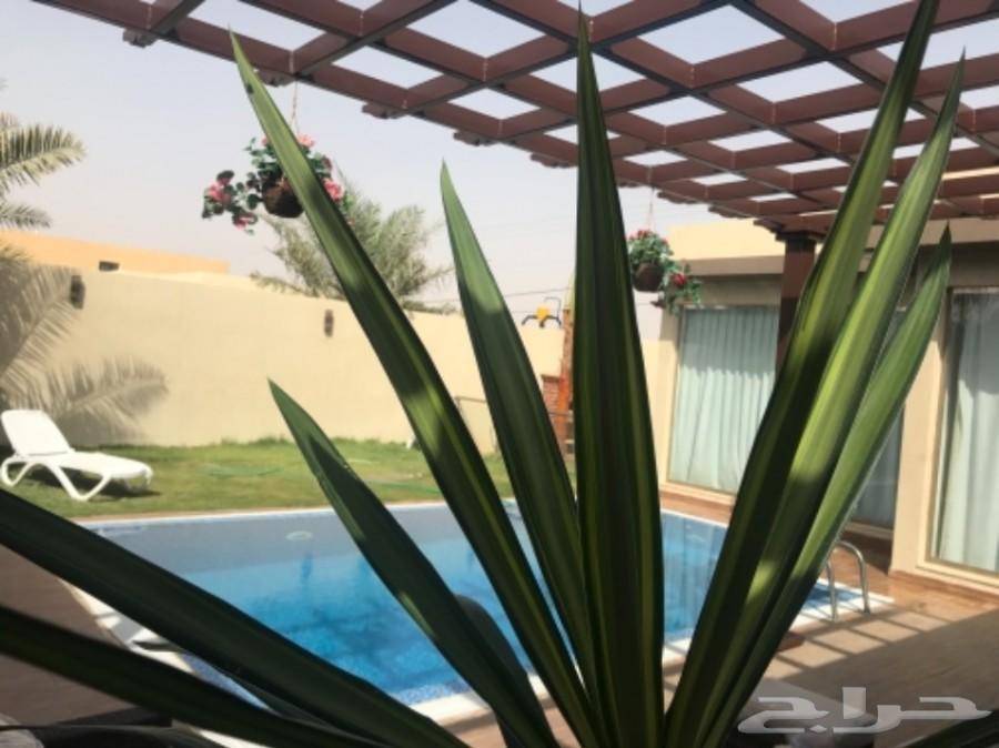شاليهات موويا Mooyah Resort