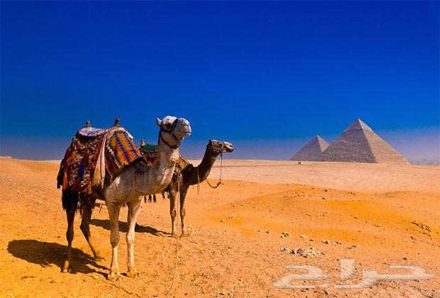 برنامج سياحى للقاهرة 4 و 5 نجوم