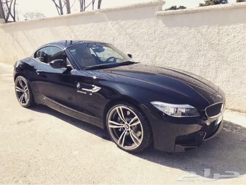 جنوط ام بور للبيع جديدة