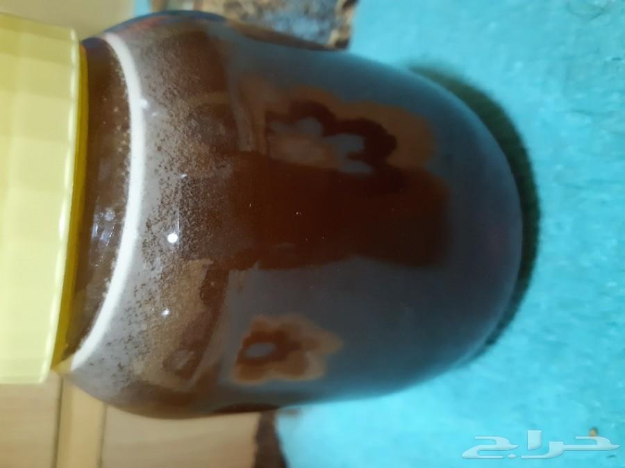 عسل سدر بنجابي (الاحساء) 100 ريال الكيلو