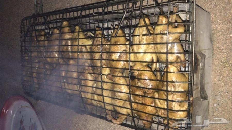 زغاليل فرنسي بط بكيني سمان دجاج لاحم