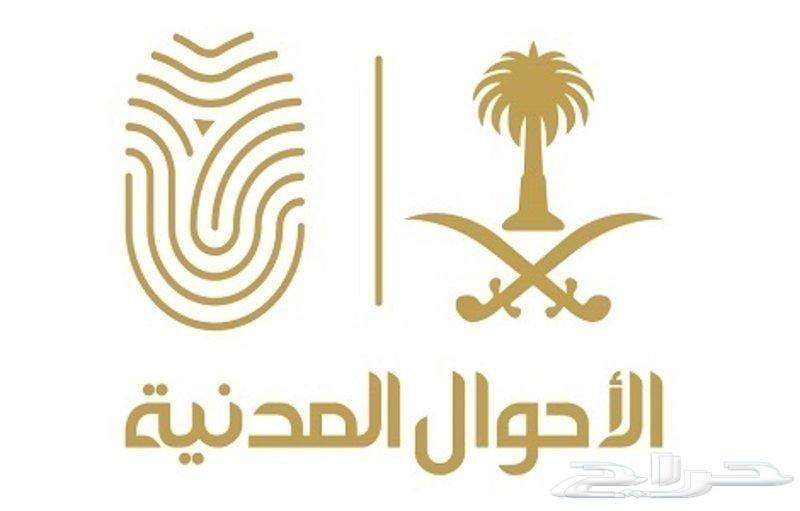 كادينزا 2019