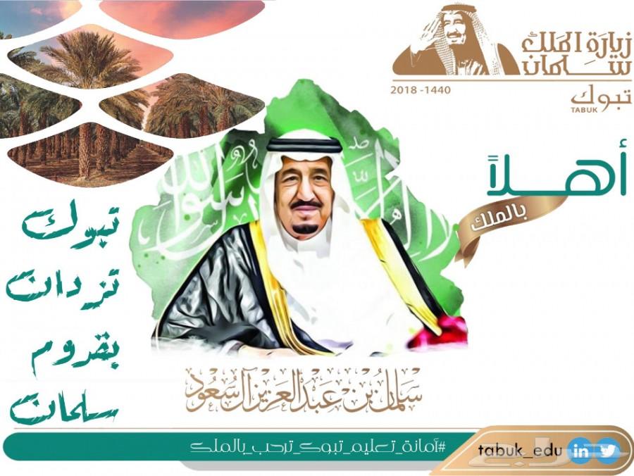 تصميم مواقع انترنت بإحترافية بأقل الأسعار