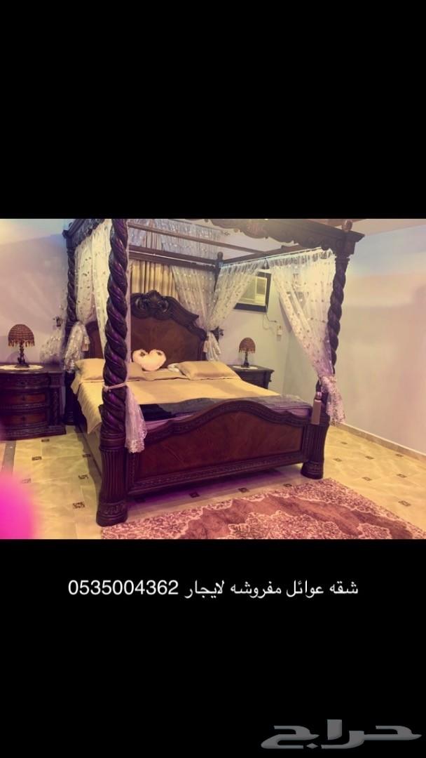 شقه خاصه لايجار اليومي