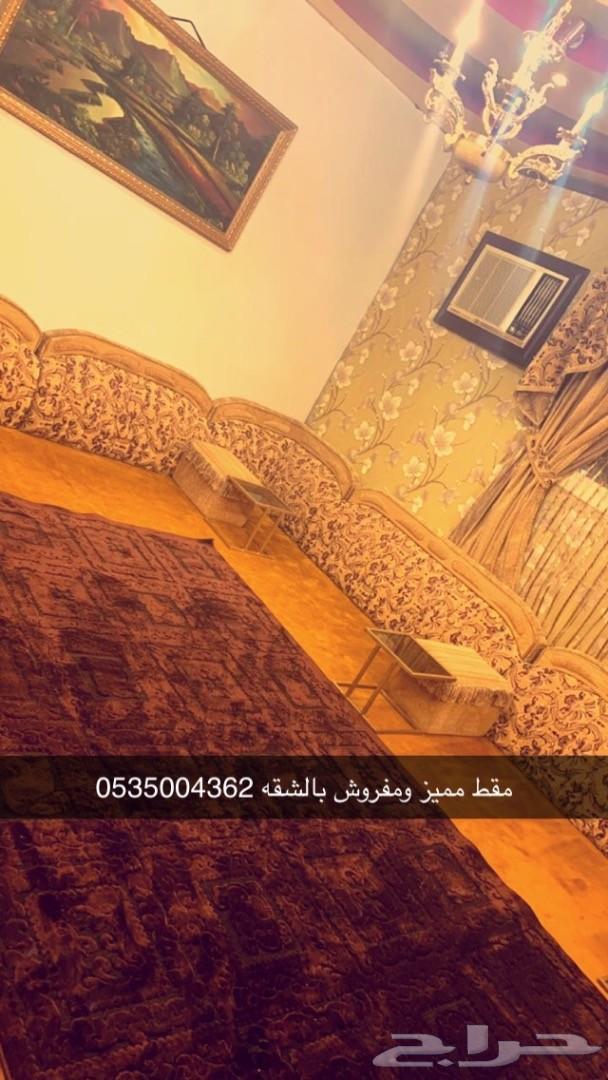 شقه خاصه لايجار اليومي
