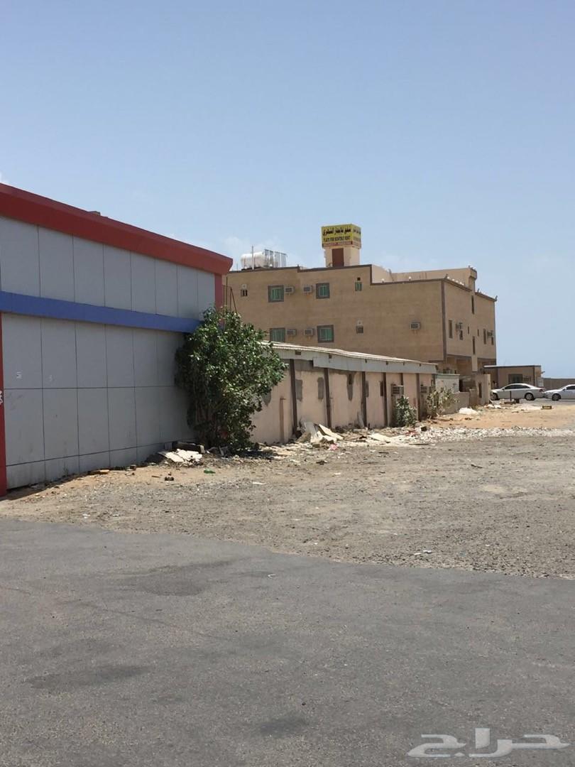 شهري فقط شقة عزاب مفروشة قريبة لينبع الصناعية