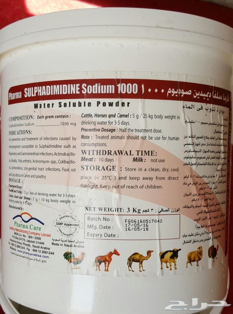 جذعان سواكني حمريات ام روابه مربى( تم البيع )