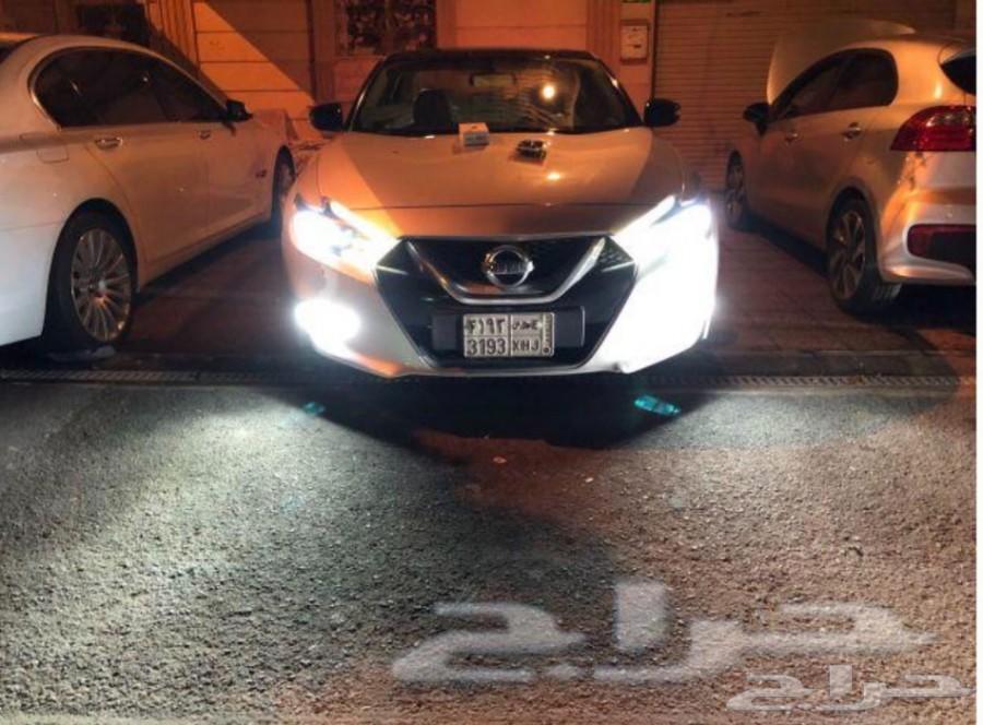 LED بديل الزنن والهولجين ابيض