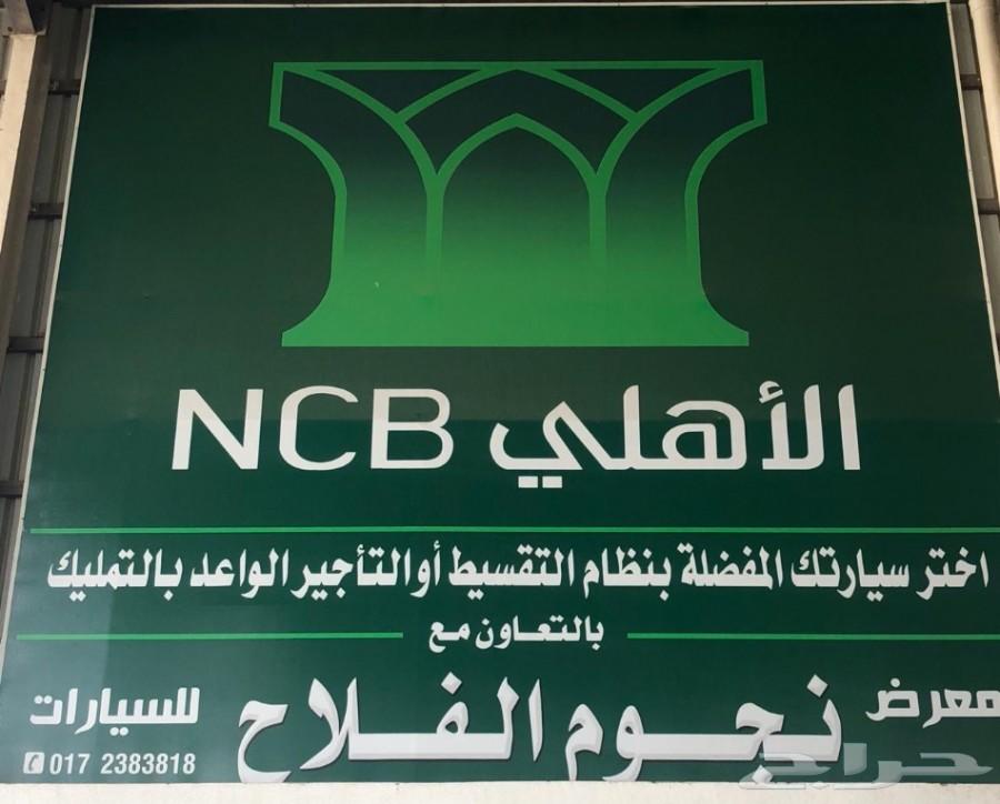 شاص 2019 سلق 11 ريشه سعودي