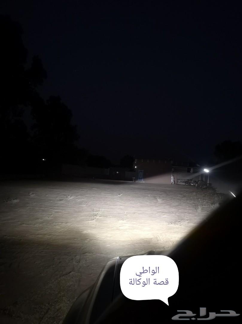 انوار ليد شرايح فيلبس للايسوزو ديماكس