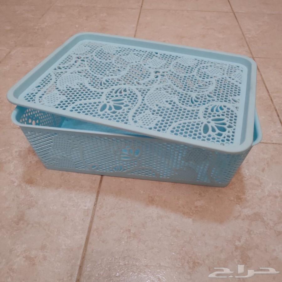 قط شيرازي من أم هيمالايا